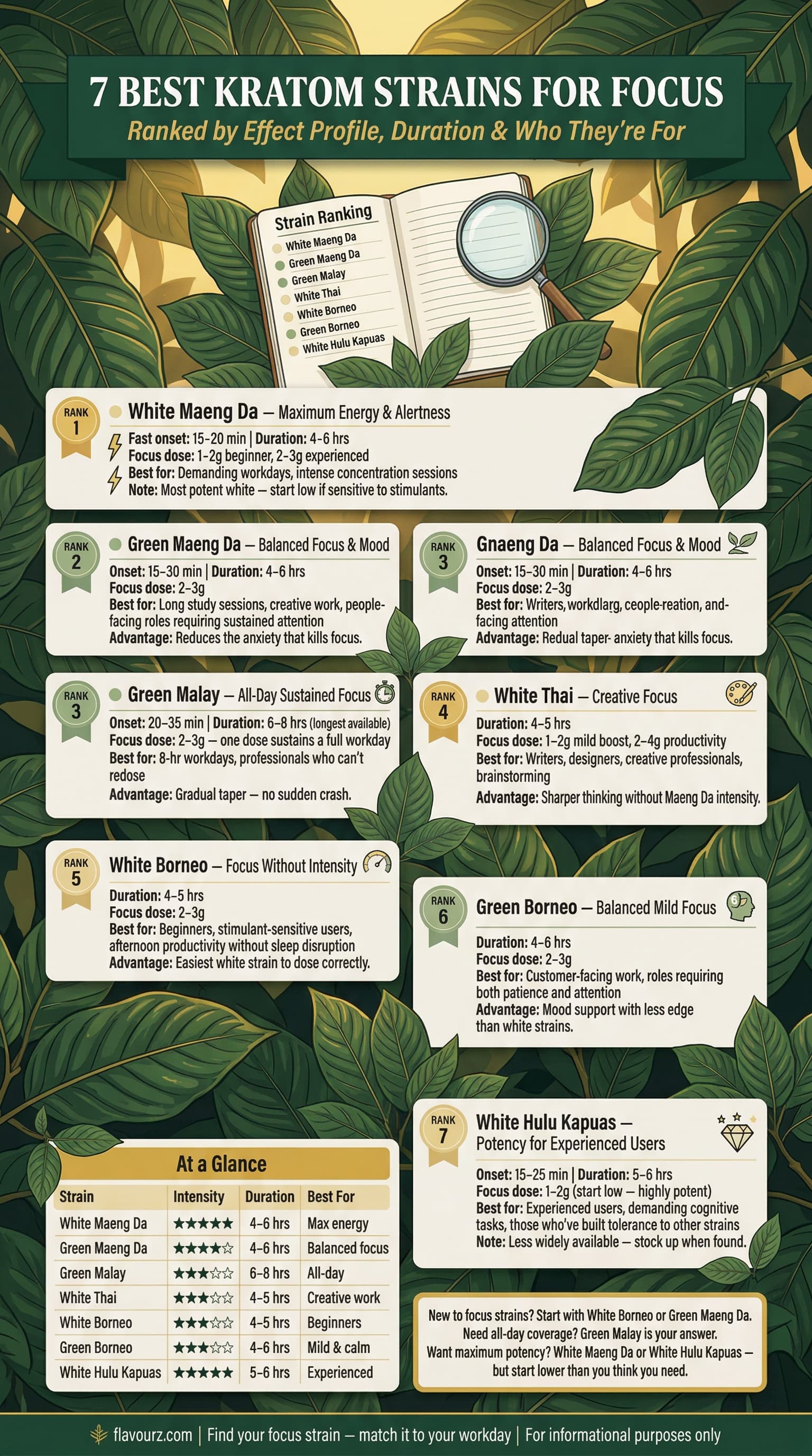 The 7 Best Kratom Strains for Focus in 2026